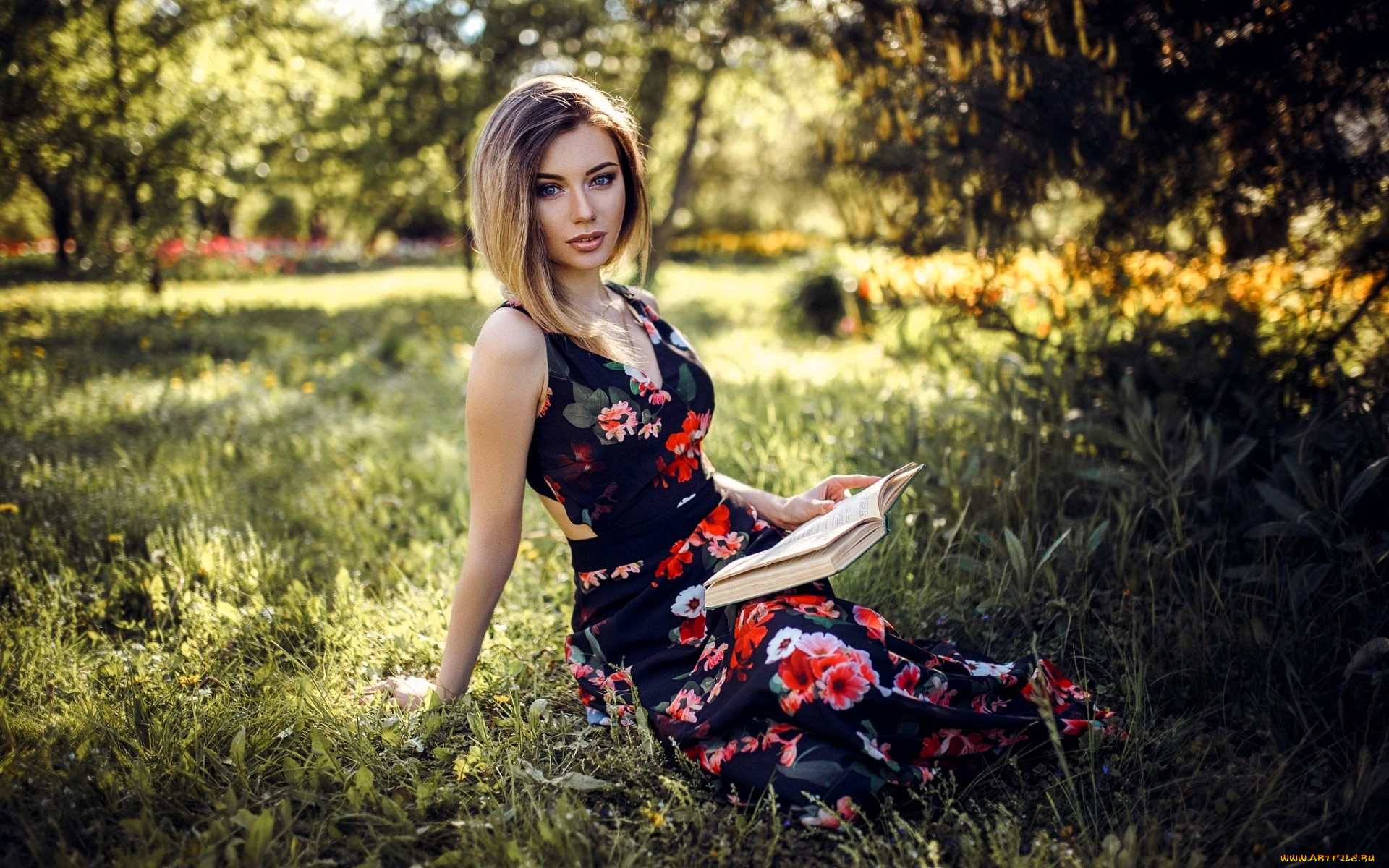 , - ,  , , , , 